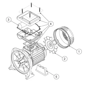 Ersatzteile für Pentair Motor Swimmey Kostenloser Versand